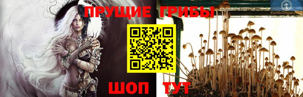 Псилоцибиновые грибы Magic Shrooms Благодарный