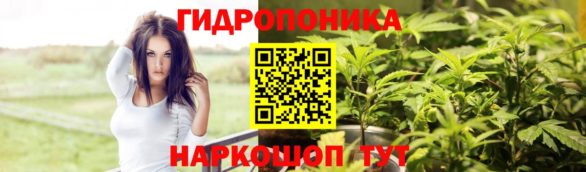Каннабис Bruce Banner Благодарный